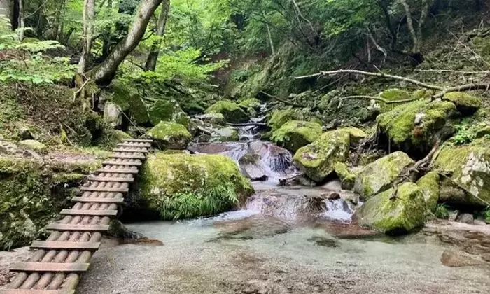残暑を快適に乗り切る！西丹沢の涼しい渓流ハイキング