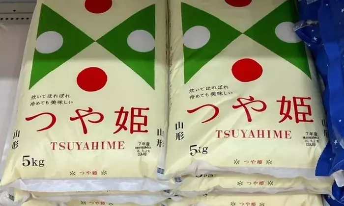 おいしい新米を選ぶ秘訣：購入と保存の完全ガイド