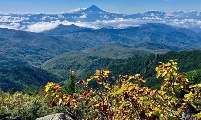 金峰山紅葉レポート：隠れた名ルート「御嶽道」を行く