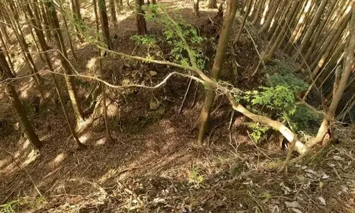 知られざる土佐の秘境、内田城跡への挑戦