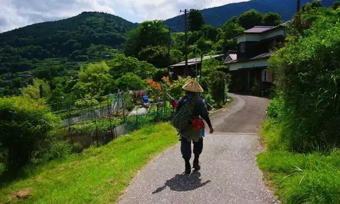熊野古道「中辺路」踏破ガイド：聖地巡礼への第一歩