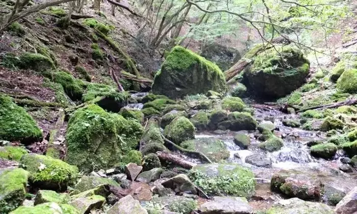 御岳山ハイキング：秋の訪れを感じる自然散策と秘境ロックガーデン