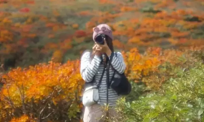 秋の絶景登山：紅葉が織りなす日本の名峰