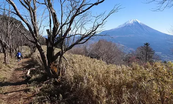 晩秋の毛無山トレッキング：富士山を望む絶景縦走