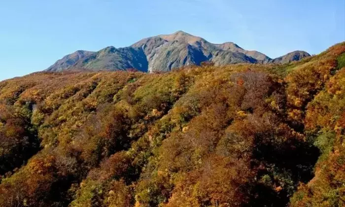 越後駒ヶ岳、紅葉の魅力を探る登山レポート：枝折峠から山頂への道のり