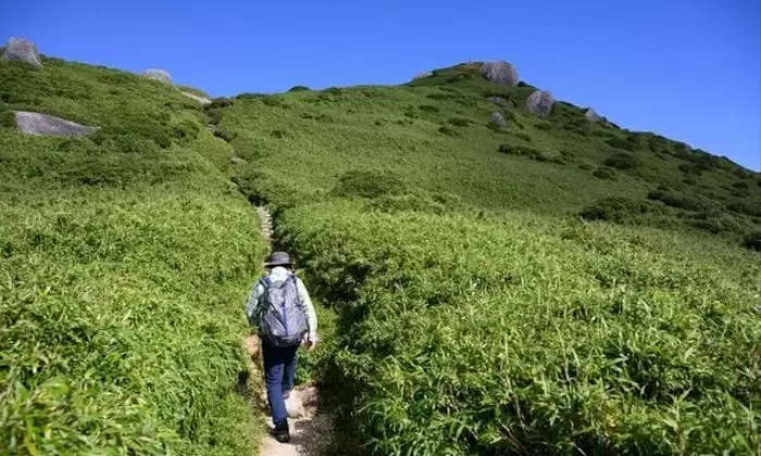 屋久島宮之浦岳：洋上のアルプスを巡る壮大な登山体験