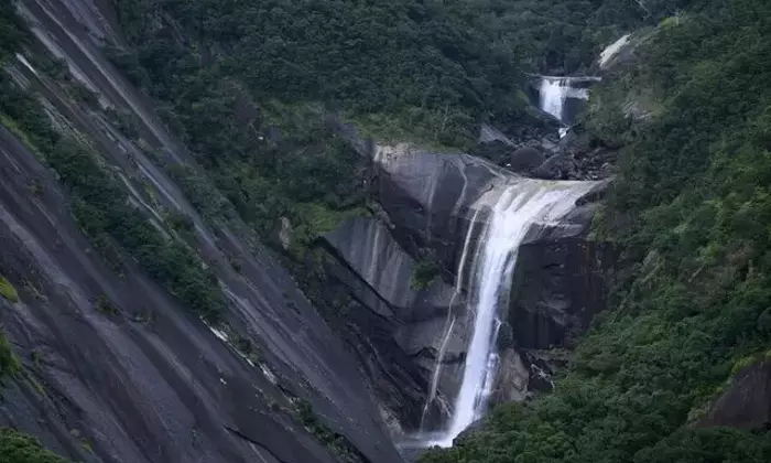 屋久島探訪：滝、ガジュマル、西部地域を巡る自然満喫ドライブ